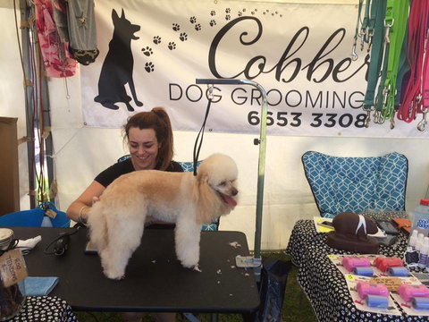 Cobbers Dog Grooming Salon - Internet Find 1