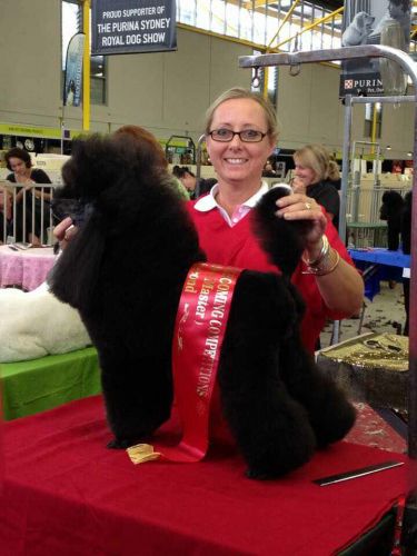 The Naked Hound Dog Grooming Salon - Renee 1