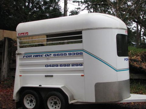 Bellingen Saddlery & Pet Supplies - Swimm 1