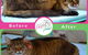 Darwin Pet Spa & Grooming - thumb 3