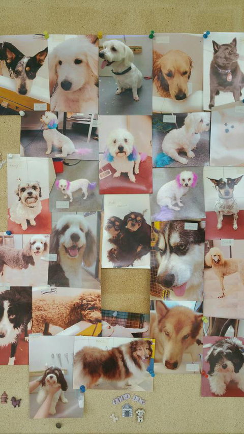 Mr Woofer Wash - Renee 0