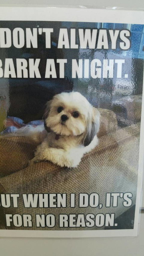 Mr Woofer Wash - Renee 1