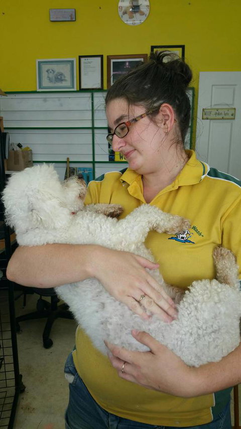 Mr Woofer Wash - Renee 2