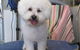 Vicki’s Little SnipPets - thumb 0