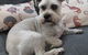 Vicki’s Little SnipPets - thumb 2