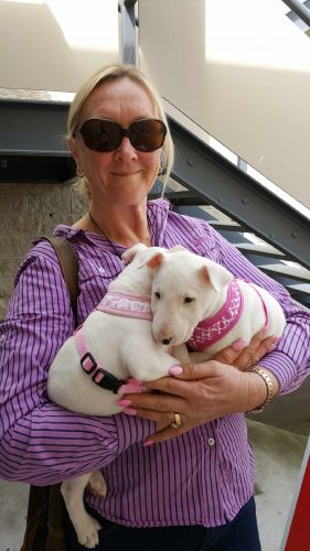 Cubbins Nelson Bay Boarding Kennels & Cattery - Internet Find 0