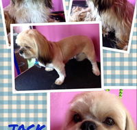 Pawkids - Renee