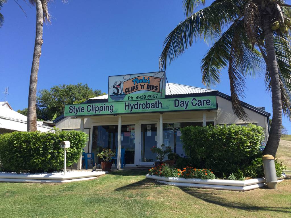 Dog Cat Clipping Washing Grooming Emu Park QLD Renee