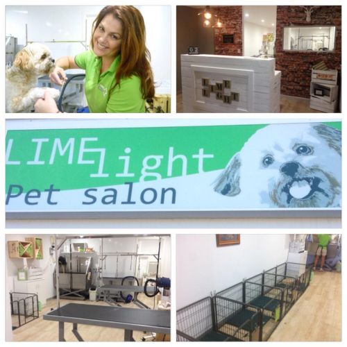 Dog Cat Clipping Washing Grooming Buddina QLD Petrol Stations