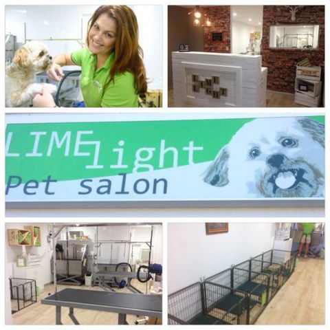 Limelight Pet Salon - Swimm 0