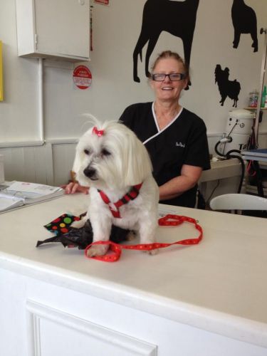 Paws At Port - Renee 2