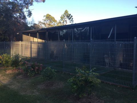 Bonville Dog Stays - Swimm 2