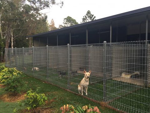 Bonville Dog Stays - Swimm 3