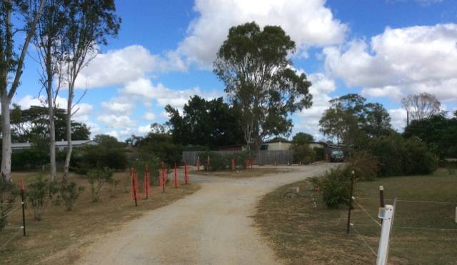 Dog Boarding Kennels Alton Downs QLD Internet Find