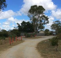 Alton Downs Boarding Kennels  Cattery - Internet Find