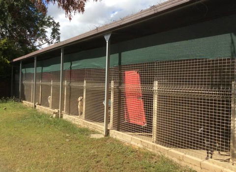 Alton Downs Boarding Kennels & Cattery - Renee 2