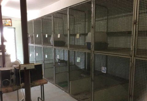 Alton Downs Boarding Kennels & Cattery - Renee 3