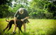 Purrfect Pet Care Sunshine Coast - thumb 1