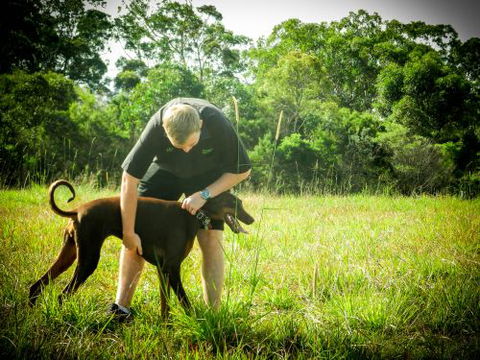 Purrfect Pet Care Sunshine Coast - Renee 1