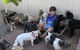 Cordelia Boarding Kennels & Cattery - thumb 1