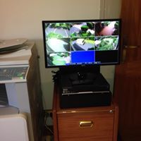 Wilkinson Electrical Services - Renee 2