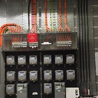 Wilkinson Electrical Services - Renee 3