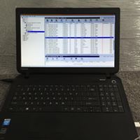 Wilkinson Electrical Services - Renee 4