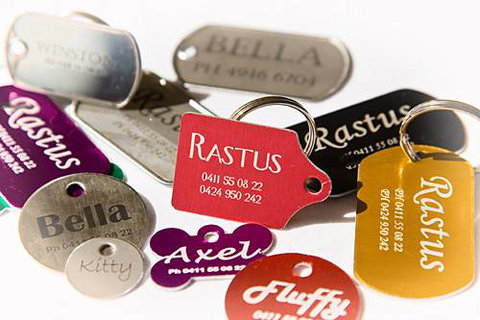 The Laser Engraver - Internet Find 4