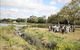 Reef Catchments - thumb 3
