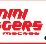 MJP Mini Diggers - Internet Find