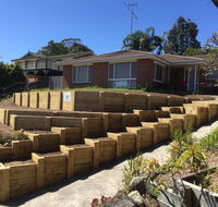 Diamond Diggers  Landscapes - Renee
