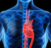 Achieve Exercise Physiologists - Petrol Stations