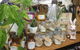 Sandy’s Bazaar - thumb 3
