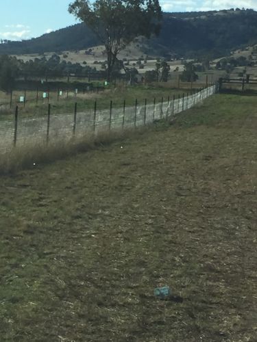 Biffins Rural Contracting - Renee 1