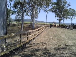 Max Grov Fencing - Internet Find 2