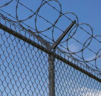 Chainwire Fencing Specialist - Renee