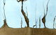 Light Horse Gallery - thumb 1