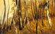 Light Horse Gallery - thumb 2