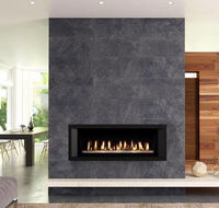 Indoor Fireplace Factory - Renee