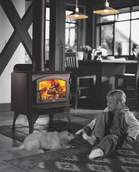 Indoor Fireplace Factory - Renee 1