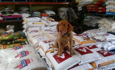 Country Wide Rural Merchants - Petrol Stations 2