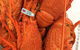 Wallis Lake Fishermen’s Co–operative Ltd - thumb 3