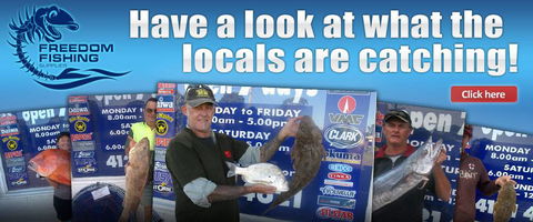 Freedom Fishing Supplies - Internet Find 2