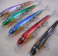 Craigs Fishing Warehouse - Renee