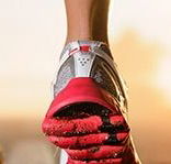 Jetts Fitness Bundaberg - Internet Find