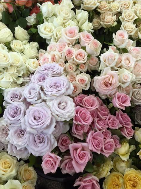 Flowers By Van Til - Renee 3