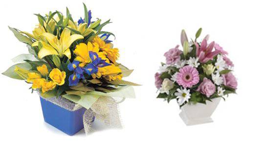 Florists Palmwoods QLD Renee