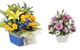 Palmwoods Florist & Gifts - thumb 0