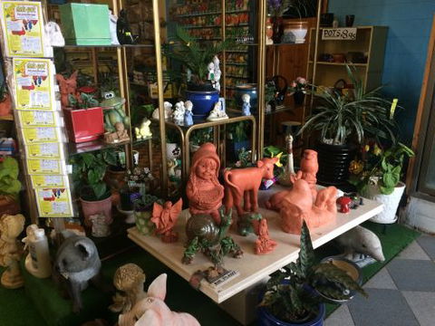 Drive Thru Or Park Unanderra Nursery - Renee 1