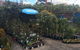 Drive Thru Or Park Unanderra Nursery - thumb 2